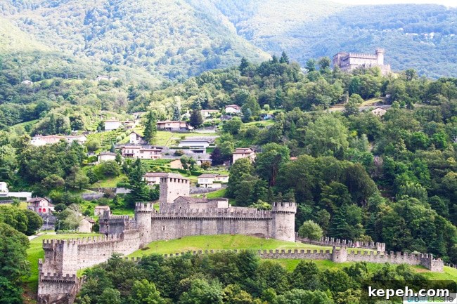 two of the Three Castles of Bellinzona 